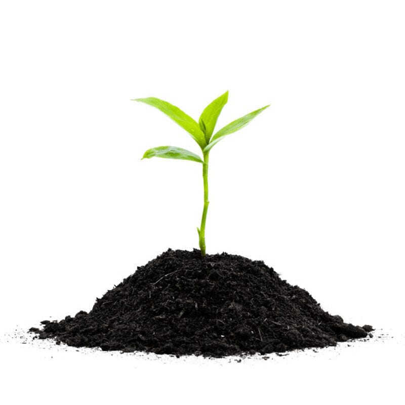 Eco-Friendly Soil Food Products