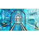 Diver-Centric Aquatic Hotels Image 4