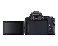 Compact Prosumer DSLRs Image 3