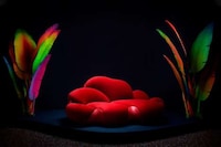 Luxe Travel-Inspired Designs Image 6