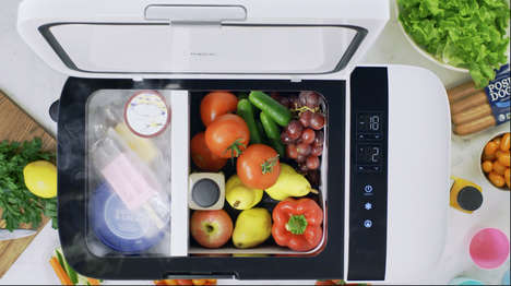 Compact Car Freezers