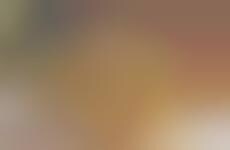 Loaded Avocado Toasts