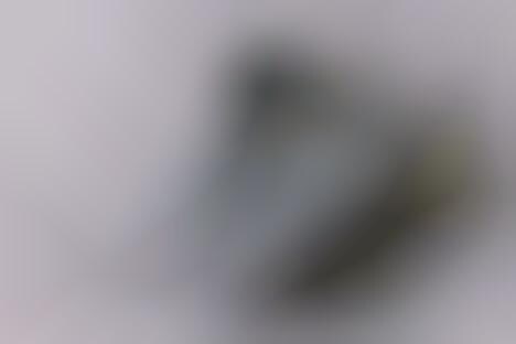 Authenticated Fantasy Sneakers