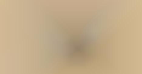 Grab-and-Go Overnight Oats