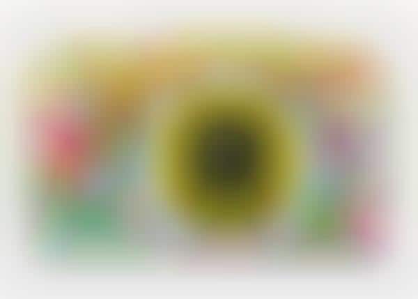 Chromatic Point-and-Shoot Cameras
