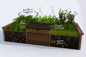 Subterranean In-Garden Composts Article Thubnail