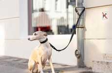 Theft-Proof Canine Leashes