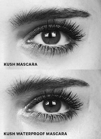 Waterproof CBD Mascaras Image 2