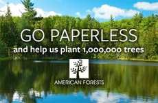 Ethical Reforestation Initiatives