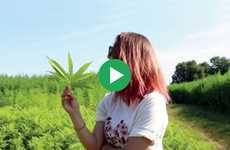 Cannabis Skincare Brand Channels