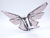 Nature-Inspired Biometric Drones Image 2