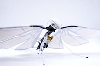 Nature-Inspired Biometric Drones Image 3