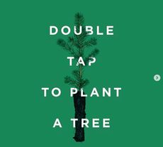 Social Media-Savvy Tree-Planting Campaigns Article Thubnail