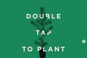 Social Media-Savvy Tree-Planting Campaigns Article Thubnail