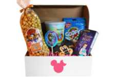 Theme Park Subscription Services