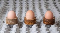 Egg-Made Tableware Image 6