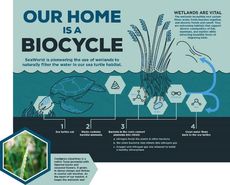 Self-Sustaining Wetland Habitats Article Thubnail