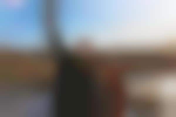 One-Click Sharing Cameras