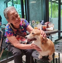 Dedicated Corgi Cafes Image 4