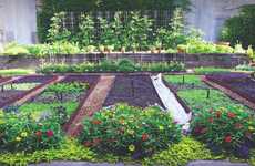 Edible Organic Gardens