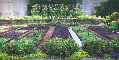 Edible Organic Gardens