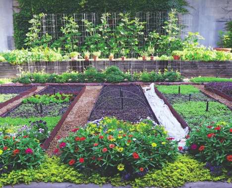 Trend maing image: Edible Organic Gardens