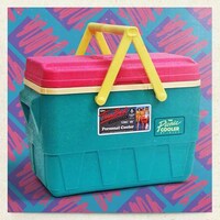 Nostalgic Neon Coolers Image 2