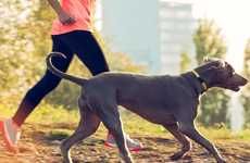 Fitness-Tracking Canine Wearables