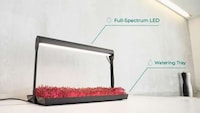 Microgreens Gardening Systems Image 2
