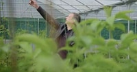 Futuristic Gardening Exhibits Image 5