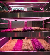 Futuristic Gardening Exhibits Image 8