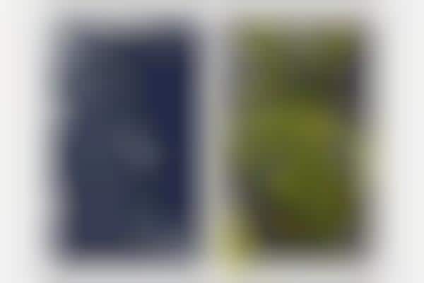 Auctioned Solar Panel Art