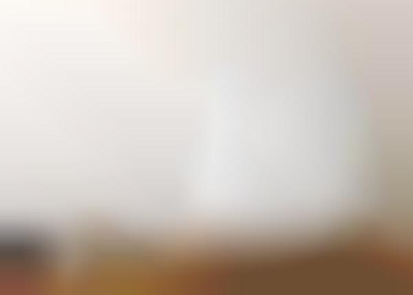 Accessible Low-Cost Air Purifiers