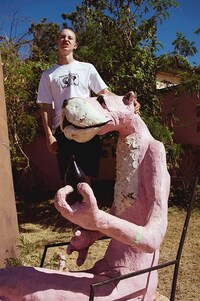 Northern Australia-Themed Skate Apparel Image 4