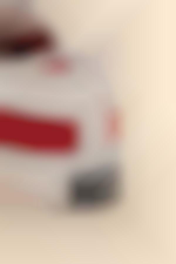Patriotic Themed Zippered Sneakers