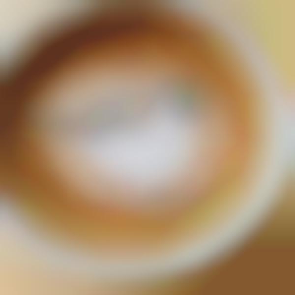 Bird-Styled Latte Designs