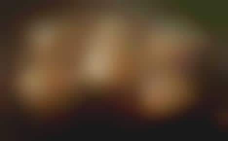 Seafood-Stuffed Mushroom Appetizers