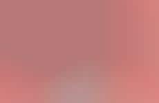 Digital Instant Cameras