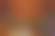 Burger Chain Mozzarella Sticks