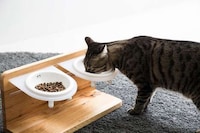 Elevated Feline Dining Sets Image 3