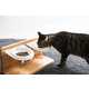 Elevated Feline Dining Sets Image 3