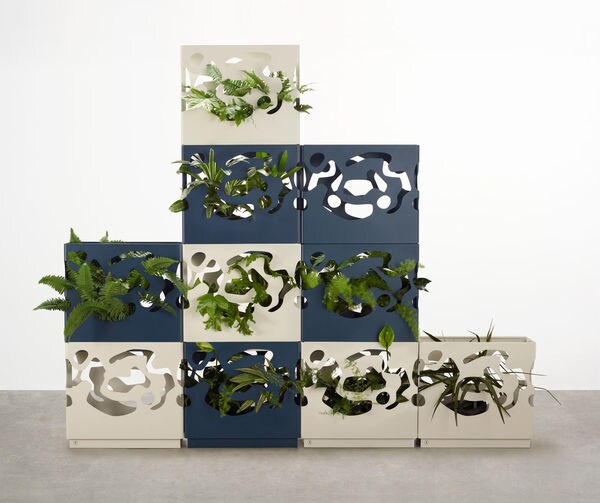 20 Indoor Garden Solutions