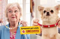 Senior Companionship Dog Dates