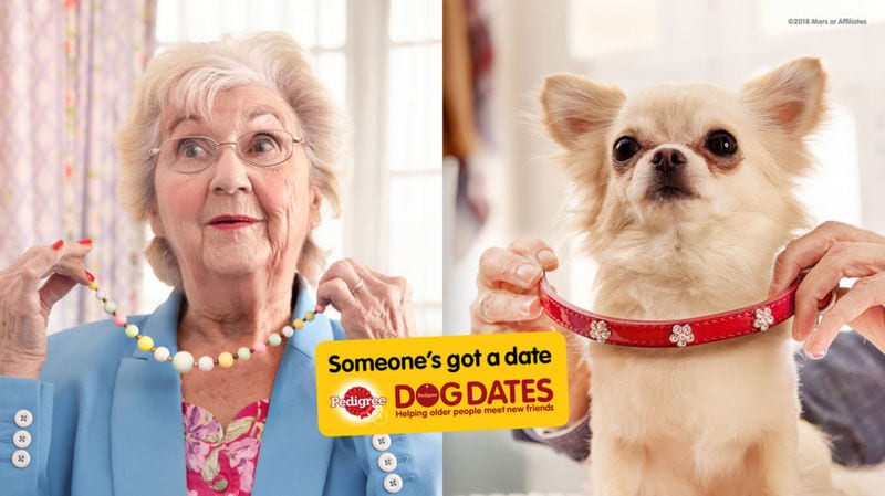 Senior Companionship Dog Dates