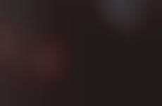 Curated Steak Contests