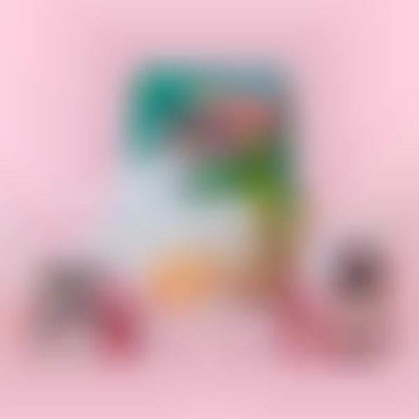 K-Beauty Spa Subscription Boxes