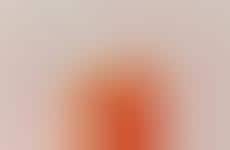 Pride Month Botanical Ciders