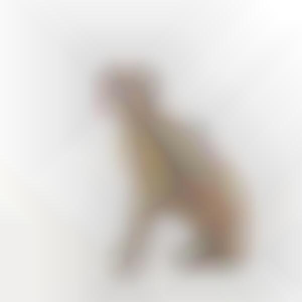 Vegan Leather Dog Accessories