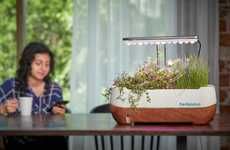 Self-Sufficient Indoor Gardens