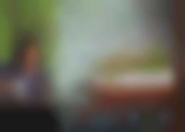 20 Indoor Garden Accessories